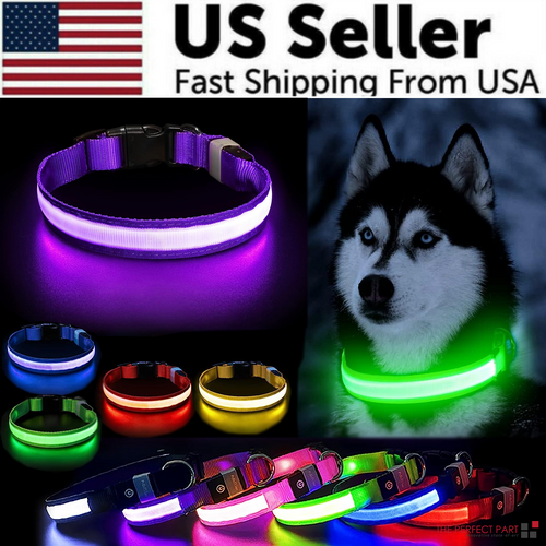 Adjustable LED Safety Dog Collar - Battery Powered