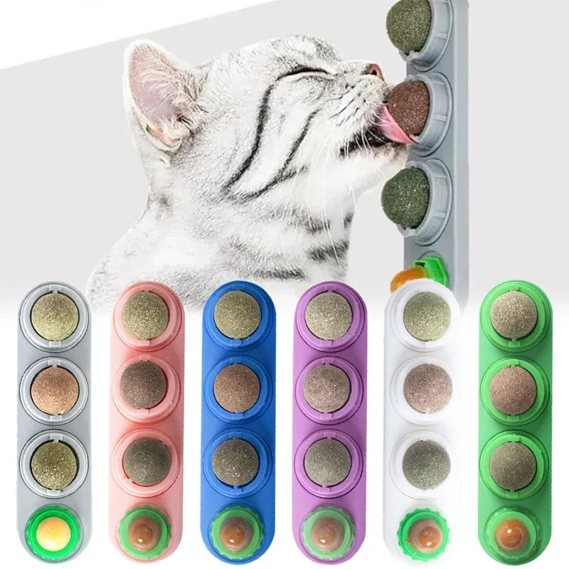 4-in-1 Rotating Catnip Wall Toy: Cats