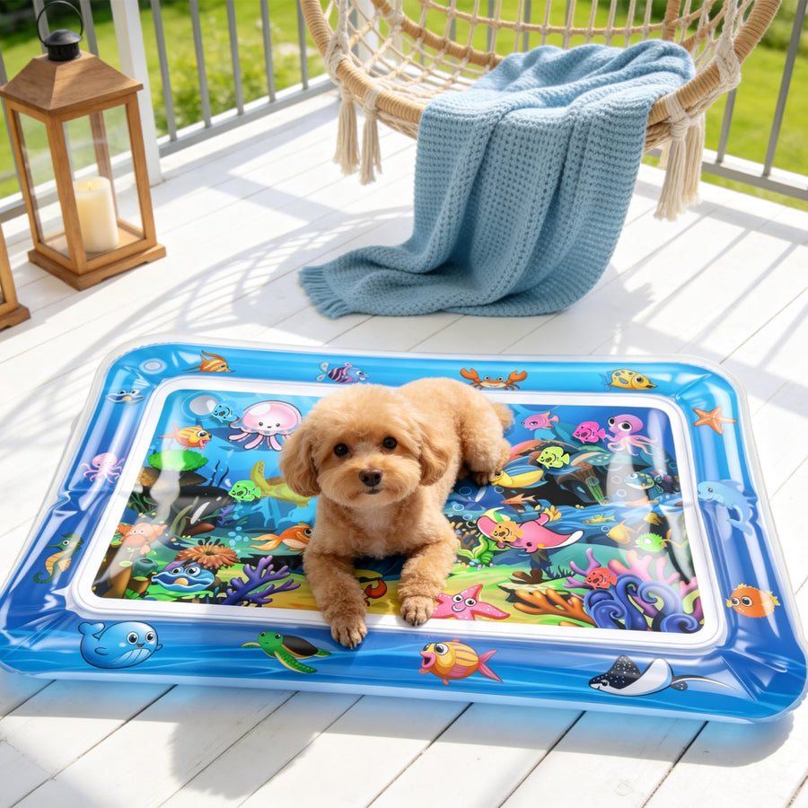 Interactive LED Water Play Mat For Cats